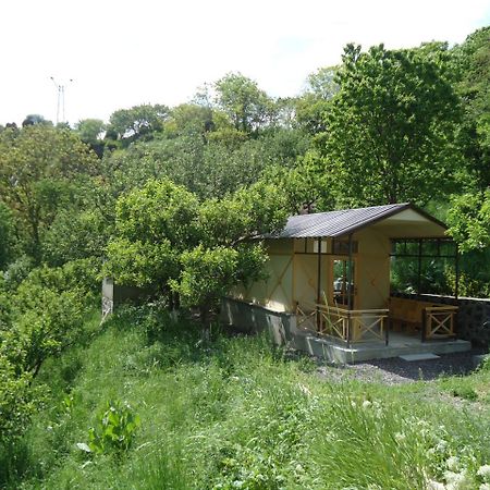 The River House Yeghegis Yekhegis Dış mekan fotoğraf